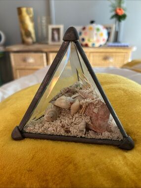 Glass Pyramid Terrarium with Seashell Accent -
